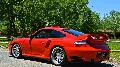 Turbo Rotes Kaninchen